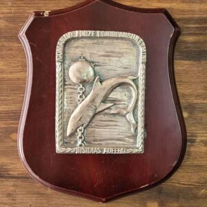 COMANDO FORZE CONTROMISURE MINE ŞİLT