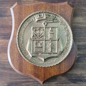 COMANDO IN CAPO DI PARTIMENTO ŞİLT