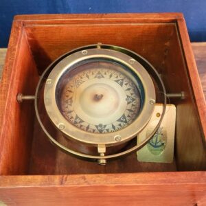 SESTREL MARKA BOT PUSULASI