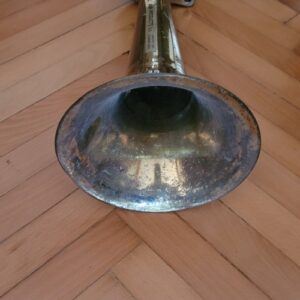 PİRİNÇ GEMİ DÜDÜĞÜ